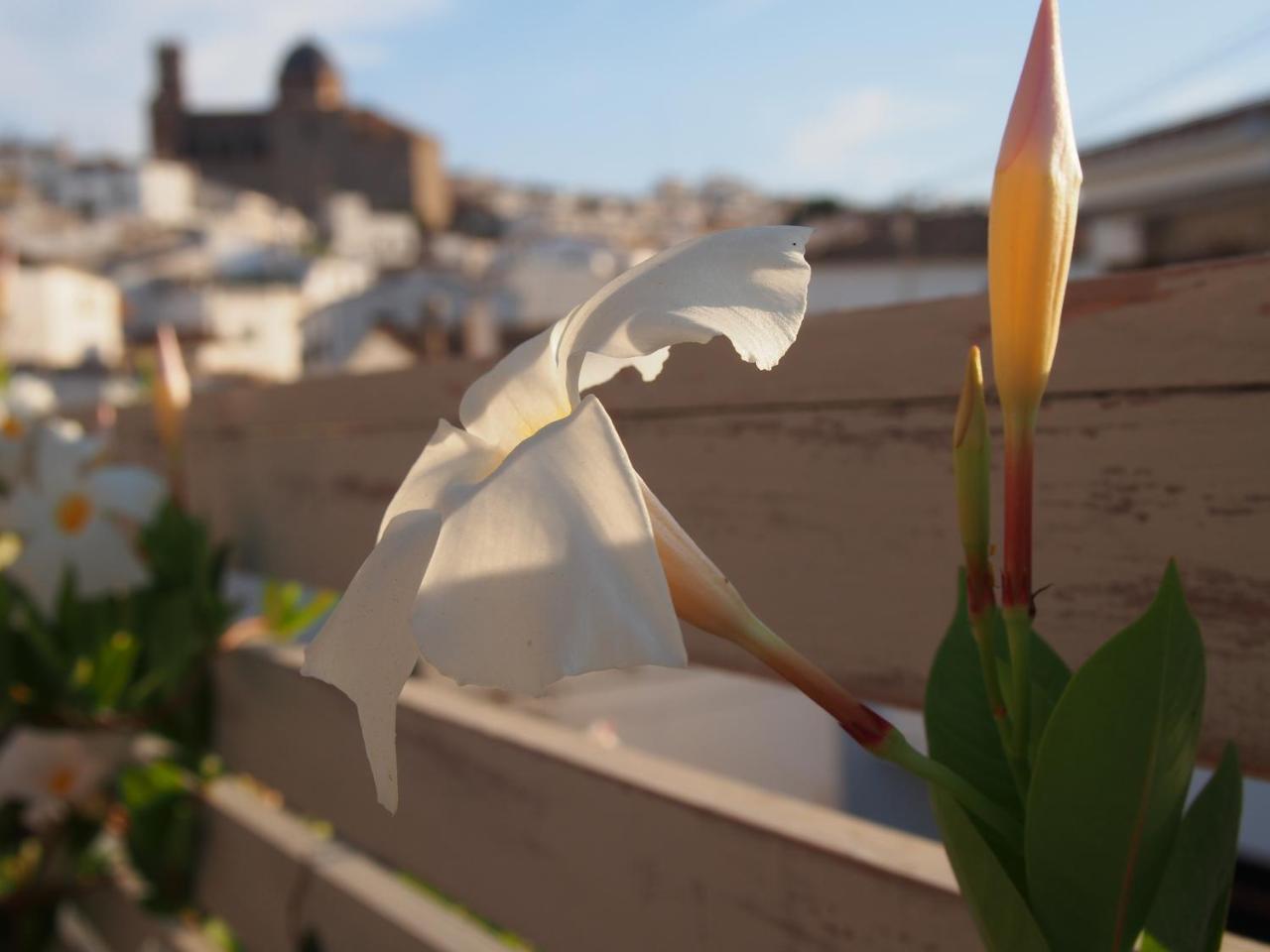 Hotel Abaco Altea Kültér fotó